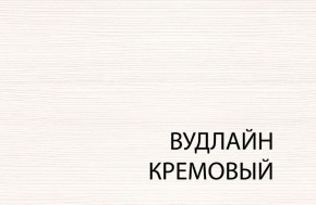 Шкаф 2DG2S, TIFFANY, цвет вудлайн кремовый в Талице - talica.mebel24.online | фото