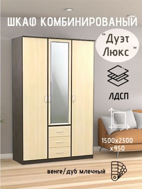 Шкаф комбинированный Дуэт Люкс с зеркалом в Талице - talica.mebel24.online | фото 3