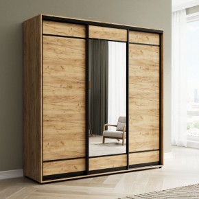 Шкаф-купе Акцент-Лайт ДЗ 2100-600 в Талице - talica.mebel24.online | фото 4