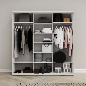 Шкаф-купе Акцент-Сим Д 1500-600 в Талице - talica.mebel24.online | фото 2