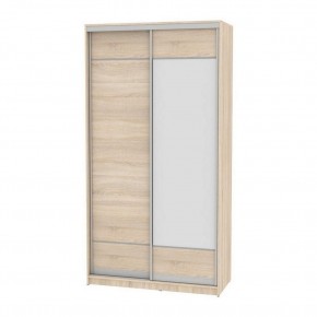 Шкаф-купе B-220х120х60-1 "Белла" (D7D8) в Талице - talica.mebel24.online | фото