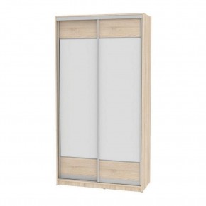 Шкаф-купе B-220х120х60-1 "Белла" (D8D8) в Талице - talica.mebel24.online | фото