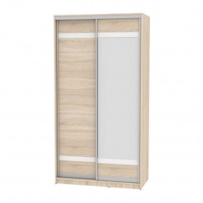 Шкаф-купе B-220х120х60-1 "Белла" (D9D10) в Талице - talica.mebel24.online | фото