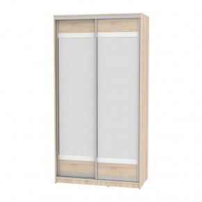 Шкаф-купе B-220х120х60-3 "Белла" (D10D10) в Талице - talica.mebel24.online | фото