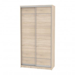 Шкаф-купе B-220х120х60-3 "Белла" (D7D7) в Талице - talica.mebel24.online | фото