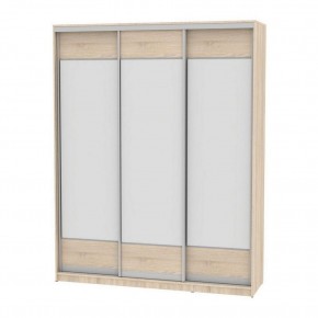 Шкаф-купе B-220х200х60-3 "Белла" (D8D8D8) в Талице - talica.mebel24.online | фото