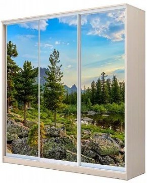 Шкаф-купе ХИТ 22-20-777 ПРИРОДА в Талице - talica.mebel24.online | фото