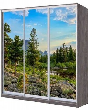 Шкаф-купе ХИТ 22-4-20/2-777 ПРИРОДА в Талице - talica.mebel24.online | фото