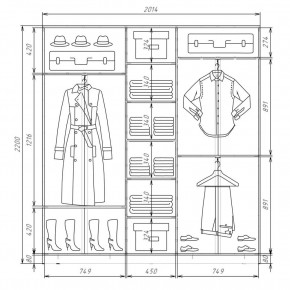 Шкаф-купе ХИТ 22-4-20-555 (420) в Талице - talica.mebel24.online | фото 2