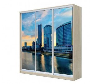 Шкаф-купе ХИТ 22-4-20-777 ЕКАТЕРИНБУРГ в Талице - talica.mebel24.online | фото