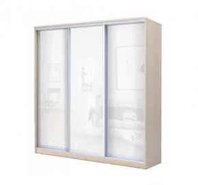 Шкаф-купе ХИТ 22-4-20-888 (420) в Талице - talica.mebel24.online | фото 4