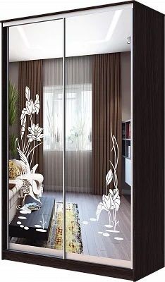 Шкаф-купе ХИТ 23-15-66 ЦАПЛИ в Талице - talica.mebel24.online | фото