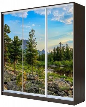 Шкаф-купе ХИТ 23-20-777 ПРИРОДА в Талице - talica.mebel24.online | фото