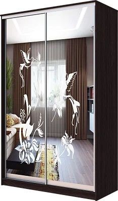 Шкаф-купе ХИТ 23-4-12/2-66 КОЛИБРИ в Талице - talica.mebel24.online | фото