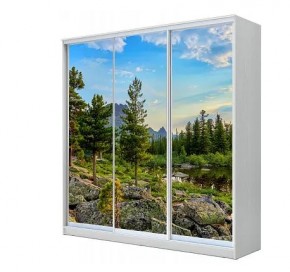 Шкаф-купе ХИТ 23-4-20-777 (420) в Талице - talica.mebel24.online | фото