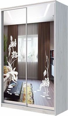 Шкаф-купе ХИТ 24-14-66 ЦАПЛИ в Талице - talica.mebel24.online | фото