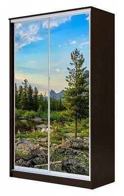Шкаф-купе ХИТ 24-17-77 ПРИРОДА в Талице - talica.mebel24.online | фото