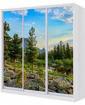 Шкаф-купе ХИТ 24-18/2-777 ПРИРОДА в Талице - talica.mebel24.online | фото