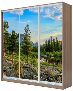 Шкаф-купе ХИТ 24-20/2-777 ПРИРОДА в Талице - talica.mebel24.online | фото