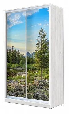 Шкаф-купе ХИТ 24-4-15-77 ПРИРОДА в Талице - talica.mebel24.online | фото
