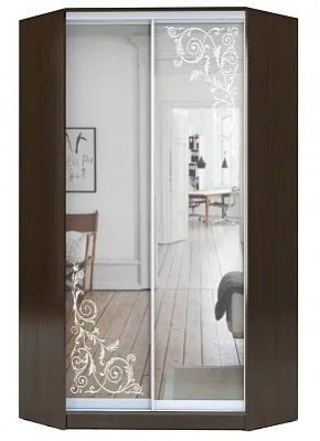 Шкаф-купе ХИТ-У-22-4-66 ОРНАМЕНТ в Талице - talica.mebel24.online | фото