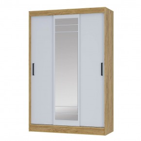Шкаф-купе Тео ШКК-02 (крафт/белый) в Талице - talica.mebel24.online | фото 2