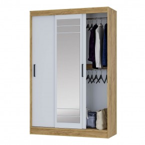 Шкаф-купе Тео ШКК-02 (крафт/белый) в Талице - talica.mebel24.online | фото 3