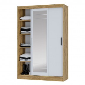 Шкаф-купе Тео ШКК-02 (крафт/белый) в Талице - talica.mebel24.online | фото 4