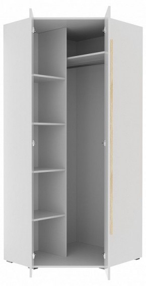 Шкаф платяной Куба 1725.М3 в Талице - talica.mebel24.online | фото 11