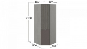 Шкаф платяной Либерти СМ-297.07.033 в Талице - talica.mebel24.online | фото 3