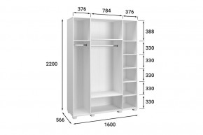 Шкаф платяной Монблан МБ-25К в Талице - talica.mebel24.online | фото 5