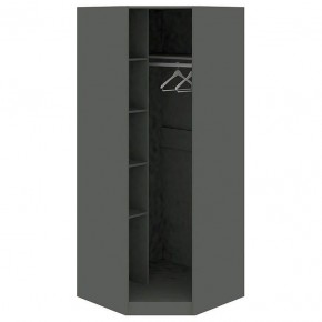 Шкаф платяной Наоми СМ-208.07.06 R в Талице - talica.mebel24.online | фото 2
