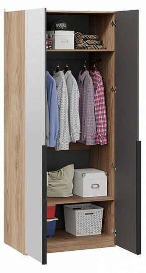 Шкаф платяной Порто СМ-393.07.005 в Талице - talica.mebel24.online | фото 3