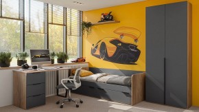 Шкаф платяной Порто СМ-393.07.223 в Талице - talica.mebel24.online | фото 4
