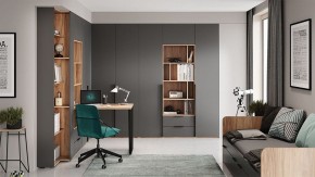 Шкаф платяной Порто СМ-393.07.223 в Талице - talica.mebel24.online | фото 9