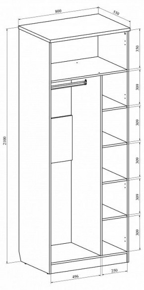 Шкаф платяной Виктория ВИ-11 в Талице - talica.mebel24.online | фото 5