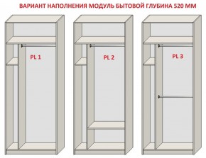 Шкаф распашной серия «ЗЕВС» (PL3/С1/PL2) Серый камень/Небраска натуральный в Талице - talica.mebel24.online | фото 5