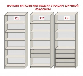 Шкаф распашной серия «ЗЕВС» (PL3/С1/PL2) Серый камень/Небраска натуральный в Талице - talica.mebel24.online | фото 6