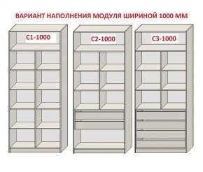 Шкаф распашной серия «ЗЕВС» (PL3/С1/PL2) Серый камень/Небраска натуральный в Талице - talica.mebel24.online | фото 7