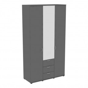Шкаф с зеркалом Ольга H57_M (Графит) в Талице - talica.mebel24.online | фото