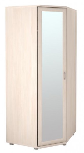 Шкаф угловой для одежды Ника-Люкс 30 без зеркал в Талице - talica.mebel24.online | фото 1