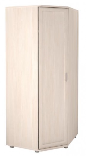 Шкаф угловой для одежды Ника-Люкс 30 без зеркал в Талице - talica.mebel24.online | фото 2