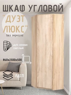 Шкаф угловой Дуэт Люкс без зеркала в Талице - talica.mebel24.online | фото 5