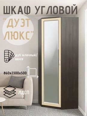 Шкаф угловой Дуэт Люкс с зеркалом в Талице - talica.mebel24.online | фото 5