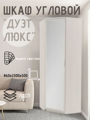 Шкаф угловой Дуэт Люкс с зеркалом в Талице - talica.mebel24.online | фото 6