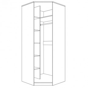 Шкаф угловой (корпус) Парма Нео в Талице - talica.mebel24.online | фото 4