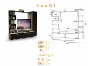 Стенка для гостиной ТВ-1 в Талице - talica.mebel24.online | фото 2