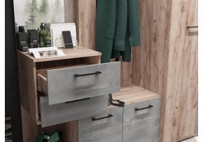 Стенка для прихожей Бостон в Талице - talica.mebel24.online | фото 4
