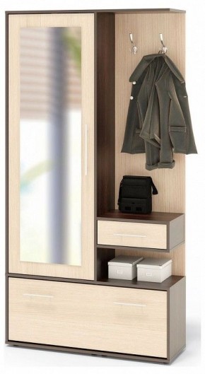Стенка для прихожей ВШ-6 в Талице - talica.mebel24.online | фото