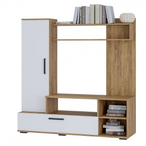 Гостиная Евро 2 (крафт/белый) в Талице - talica.mebel24.online | фото 3